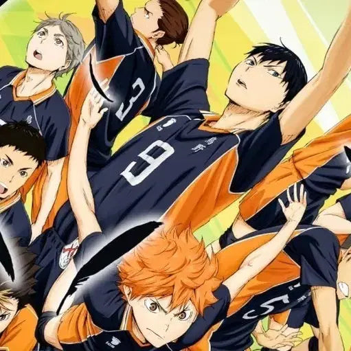 [BUNJANG] Haikyuu!! Goods / 하이큐 굿즈 싼 가격에 판매합니다!