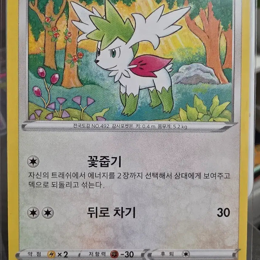 [BUNJANG] Pokemon Card Shaymin S12 F 081/098 C / 포켓몬카드 쉐이미 감사포켓몬 S12 F 081/098 C