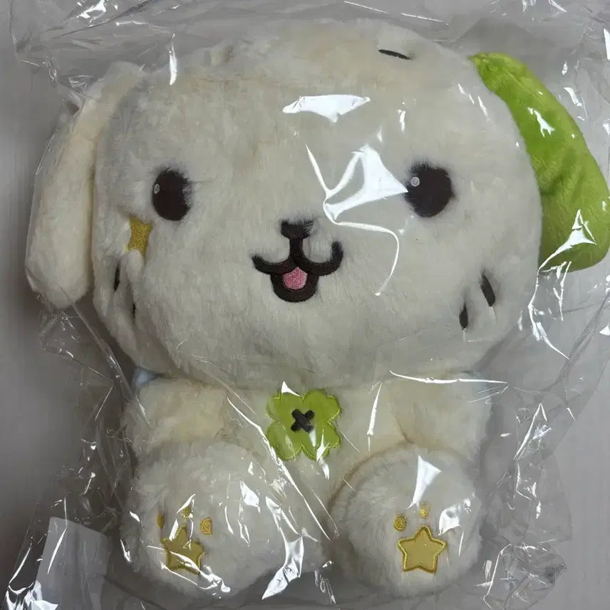 [BUNJANG] NCT WISH Ryo 30cm Doll (Sealed) / 미개봉) 엔시티위시 료 룐룐 30cm