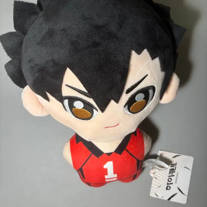 [BUNJANG] Haikyuu!! Kuroo Tetsurou Plush Doll / 하이큐 쿠로오 인형