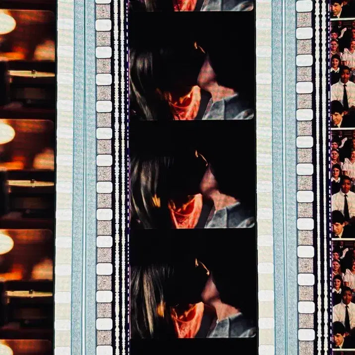[BUNJANG] The Virgin Suicides Film Cell 6-Frame Set / 처녀 자살 소동 필름컷 6매 / 영화 필름 / 소피아 코폴라