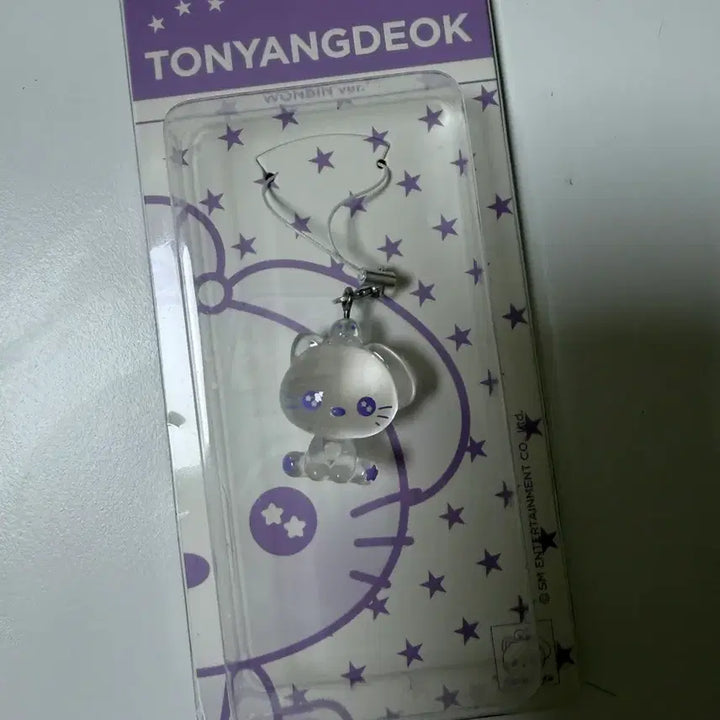 [BUNJANG] RIIZE Wonbin Tonnyangdeok Resin Photocard Holder (Sealed) / 미개봉) 라이즈 원빈 토냥덕 레진 키링