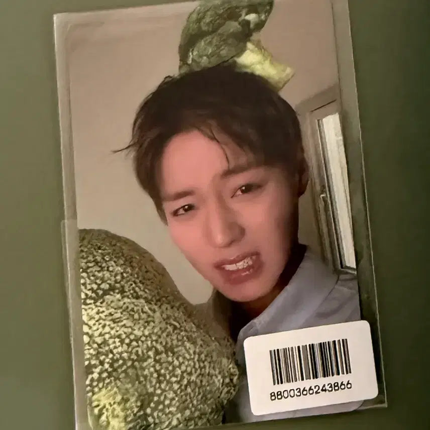 [BUNJANG] FORMENT Park Ji Hoon Broccoli Photocard (Sealed) / 포맨트 박지훈 브로콜리 포카