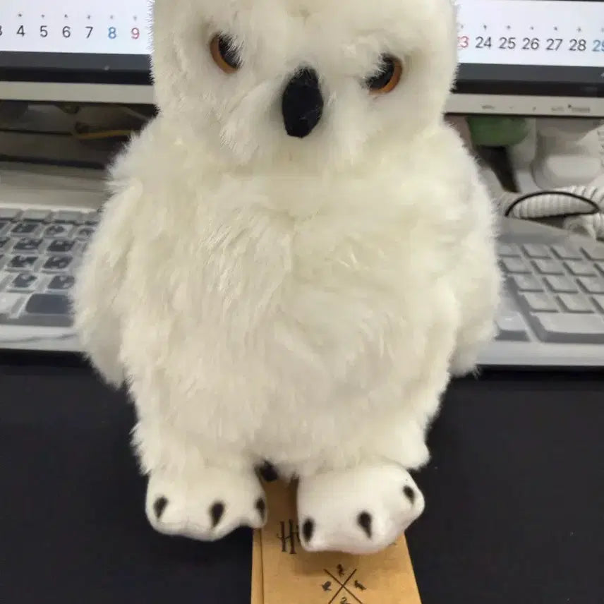 [BUNJANG] Harry Potter Hedwig Owl Plush - Universal Studios Exclusive / 해리포터 헤드위그 부엉이 유니버셜스튜디오 한정 인형