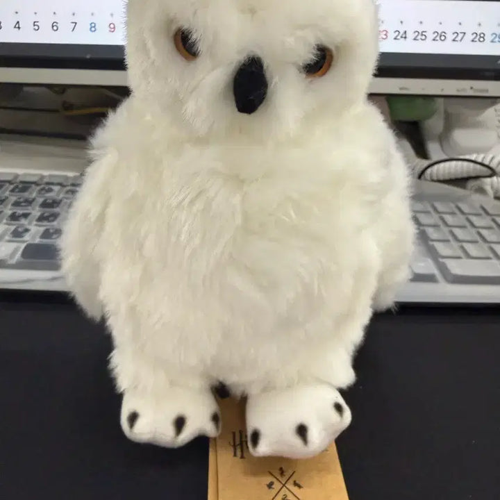 [BUNJANG] Harry Potter Hedwig Owl Plush - Universal Studios Exclusive / 해리포터 헤드위그 부엉이 유니버셜스튜디오 한정 인형