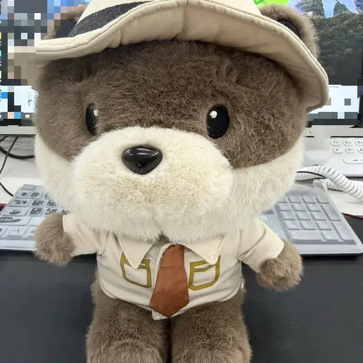 [BUNJANG] National Parks Dal-kong Medium Plush 28cm / 국립공원 달콩이 중형인형 28cm, 국립공원 굿즈