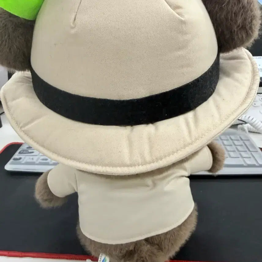 [BUNJANG] National Parks Dal-kong Medium Plush 28cm / 국립공원 달콩이 중형인형 28cm, 국립공원 굿즈