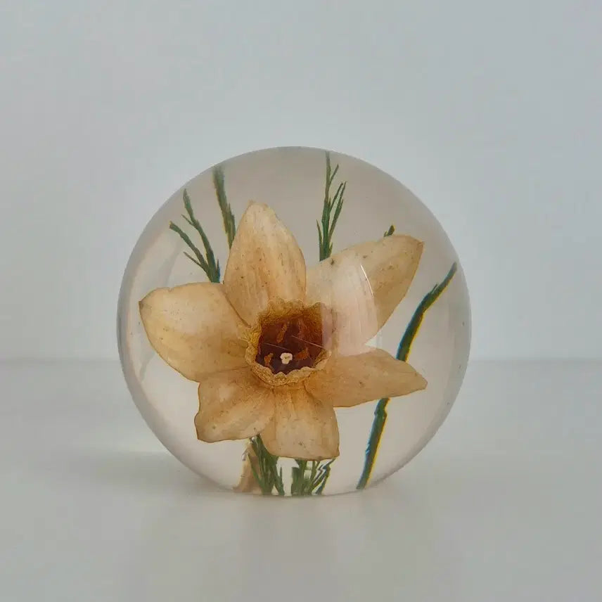 [BUNJANG] Harford Grange Daffodil Flower Paperweight / 빈티지문진 빈티지페이퍼웨이트 수선화문진 플라워문진 꽃문진 Harford grange 영국문진