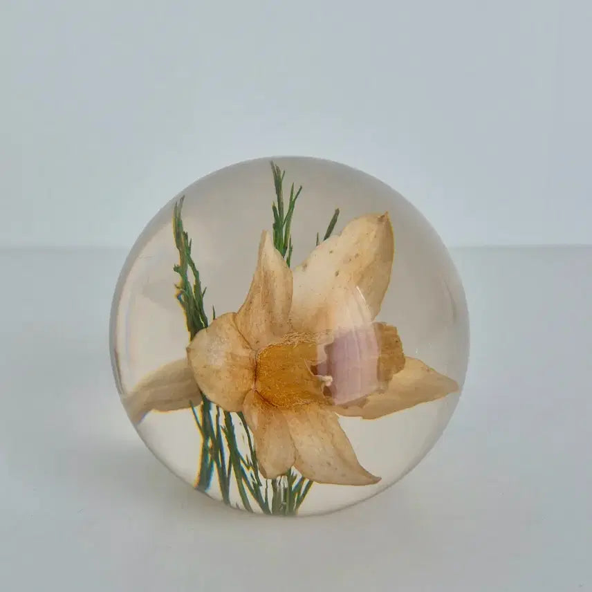 [BUNJANG] Harford Grange Daffodil Flower Paperweight / 빈티지문진 빈티지페이퍼웨이트 수선화문진 플라워문진 꽃문진 Harford grange 영국문진