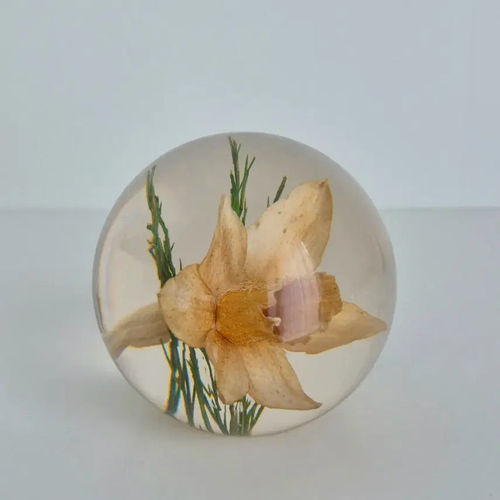 [BUNJANG] Harford Grange Daffodil Flower Paperweight / 빈티지문진 빈티지페이퍼웨이트 수선화문진 플라워문진 꽃문진 Harford grange 영국문진