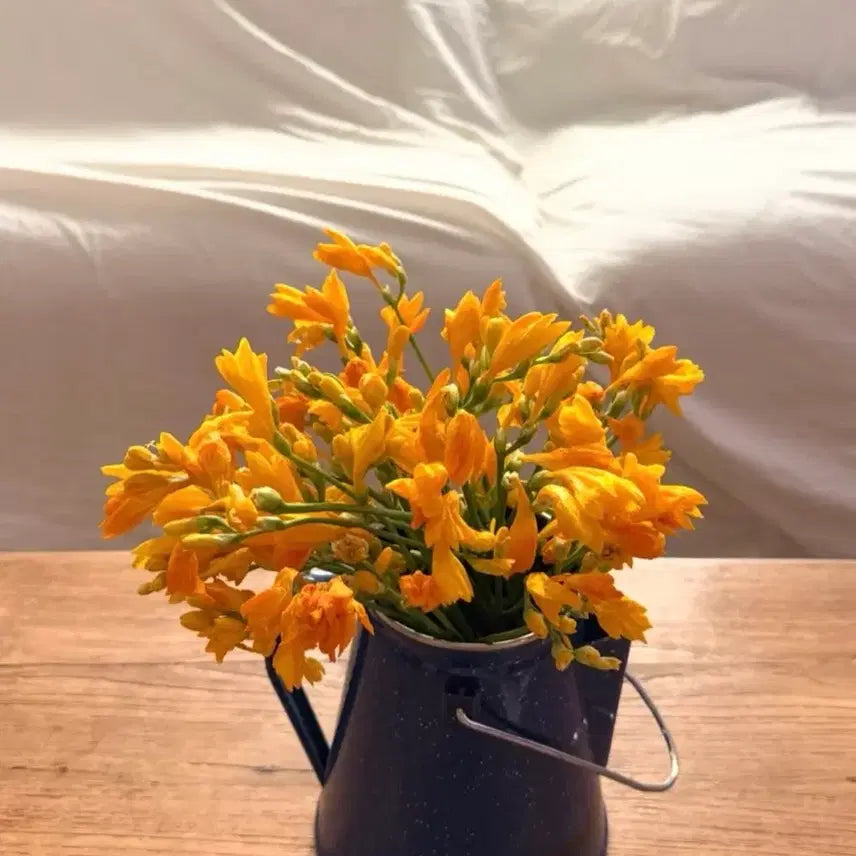 [BUNJANG] Vintage Enamel Vase / 빈티지 법랑 화병