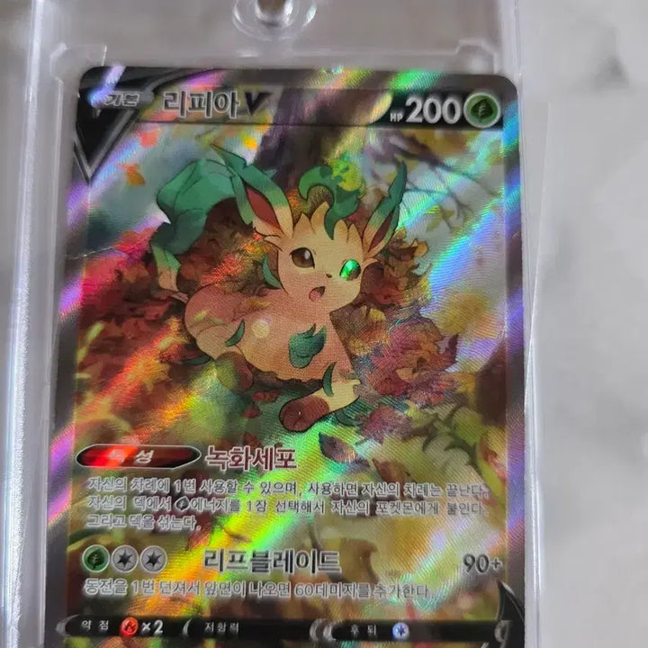[BUNJANG] Pokemon Card Leafeon Special Edition + Blacky Special Edition (Condition Issues) / 포켓몬카드 상태안좋은 리피아 특일 + 블랙키 특일 팝니다