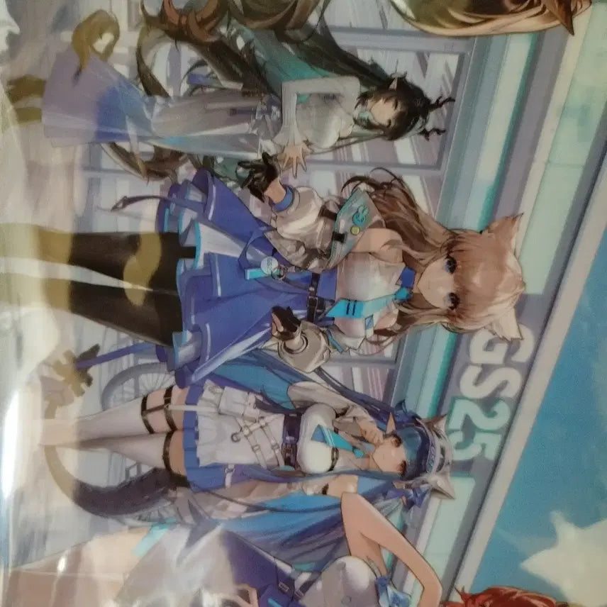 [BUNJANG] Arknights Endfield GS25 Collaboration Clear File / 명일방주 엔드필드 클리어파일 판매합니다