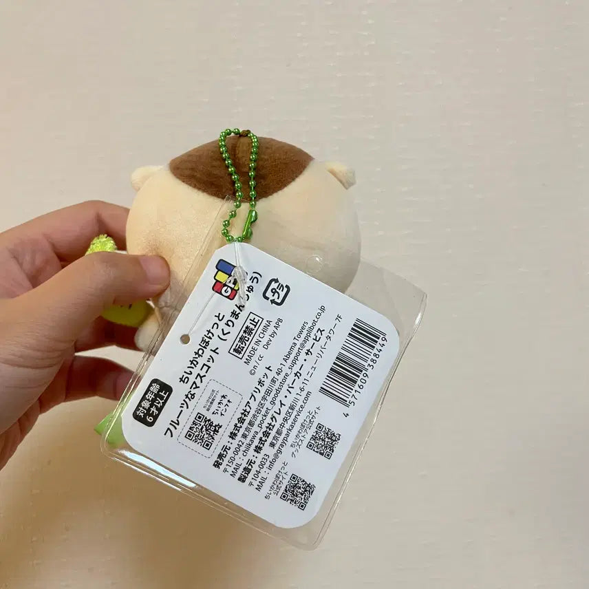 [BUNJANG] Cheeky Chimera Pocket Fruit Mascot Kiwi Kurimanju / 치이카와 포켓 프루트 마스코트 키위 쿠리만쥬