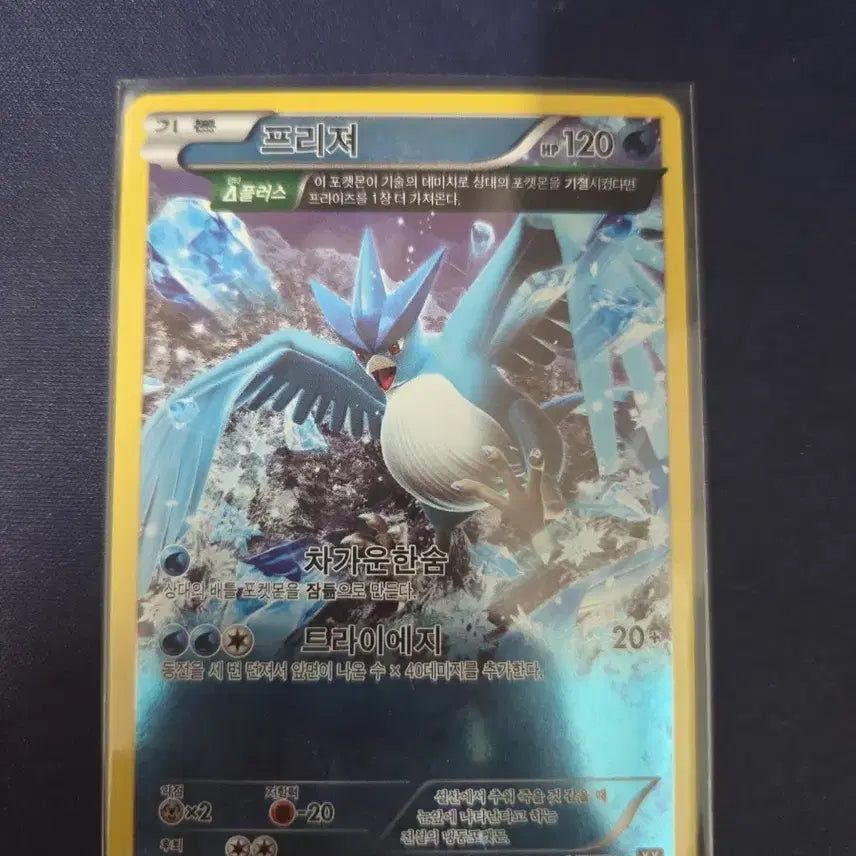 [BUNJANG] Pokemon Card Freezer XY 017/171 / 포켓몬카드 프리저 XY 017/171