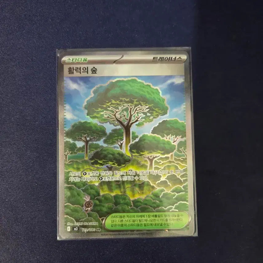 [BUNJANG] Pokemon Card: Forest of Vitality / 포켓몬카드 활력의 숲
