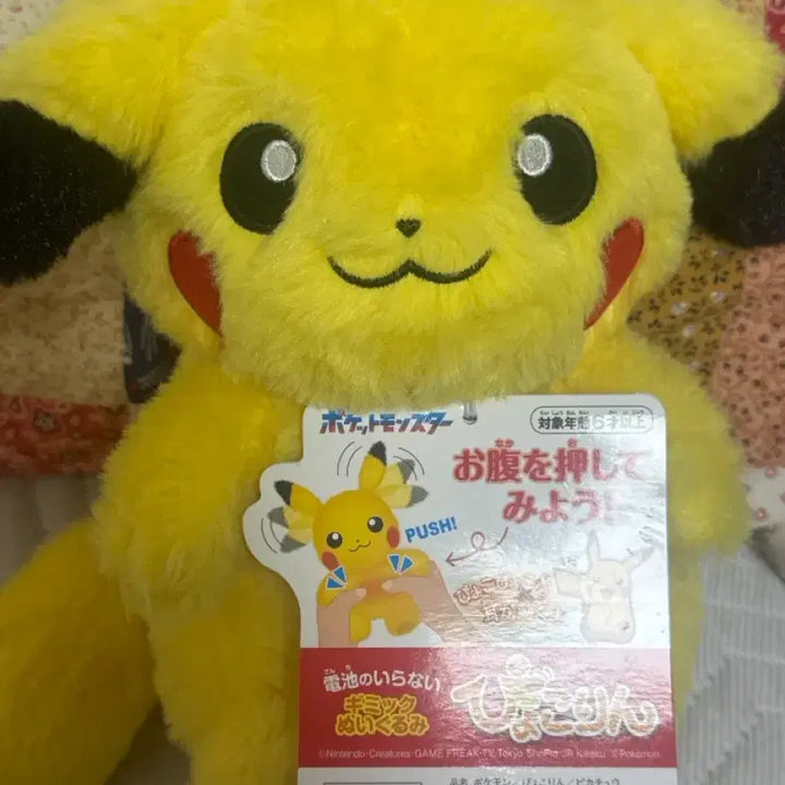 [BUNJANG] Pokemon Pikachu Plush Doll / 포켓몬스터 표코린 피코린 피카츄 인형