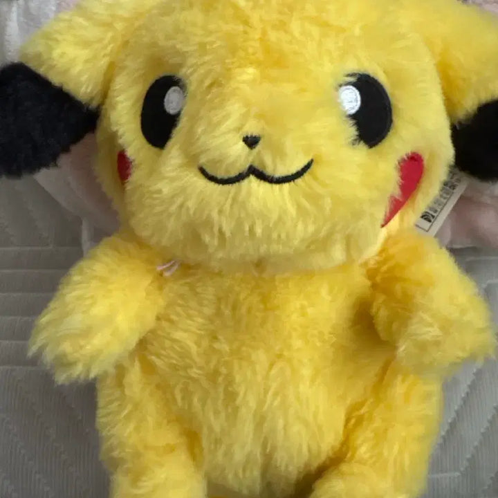 [BUNJANG] Pokemon Pikachu Plush Doll / 포켓몬스터 표코린 피코린 피카츄 인형