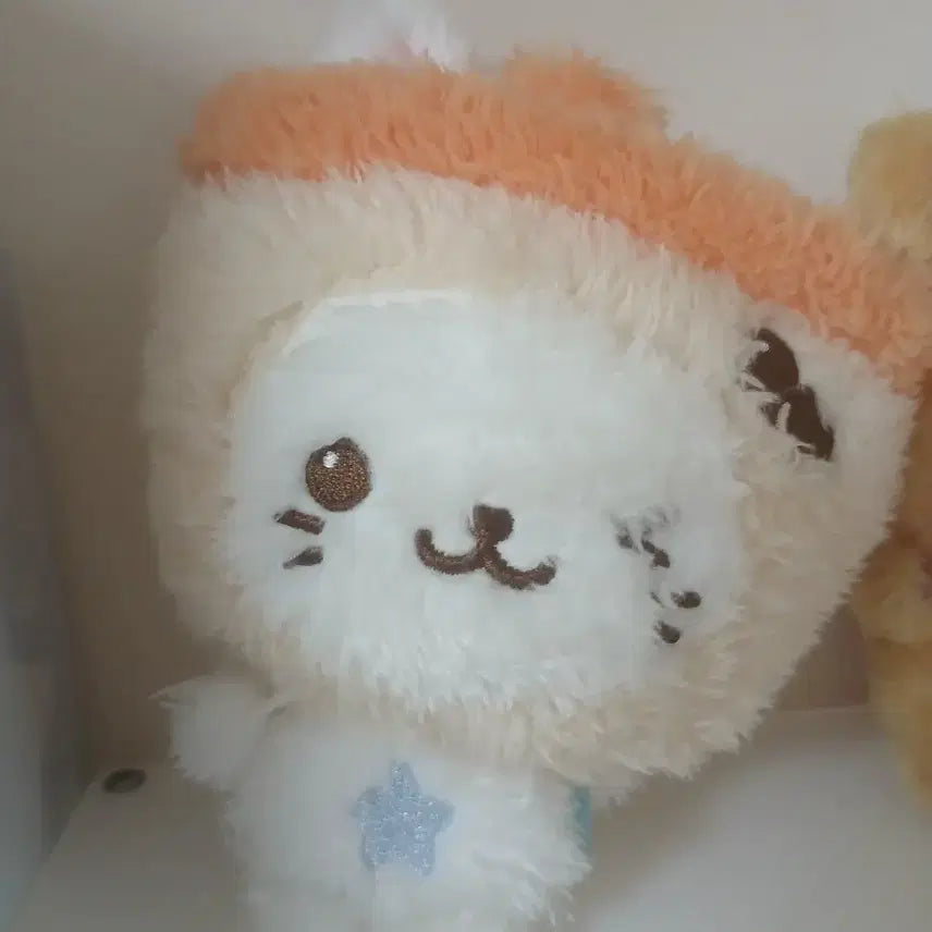 [BUNJANG] Wishdol Bubble Cat Plush / 위시돌 버블냥