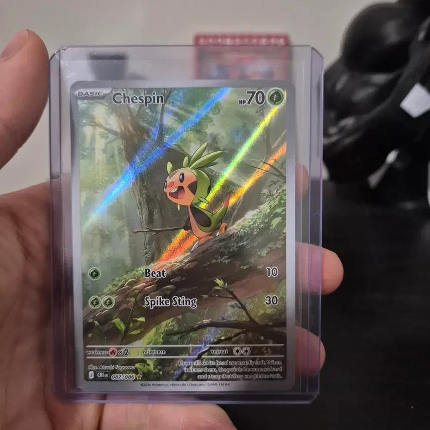 [BUNJANG] Dochimaron North American Edition Rare Pokemon Card / 도치마론 북미