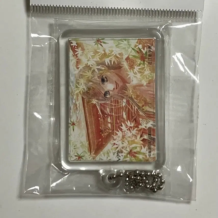 [BUNJANG] Chihayafuru Acrylic Keyring Karuta (Sealed) / (미개봉)치하야후루 아크릴 키링 카루타
