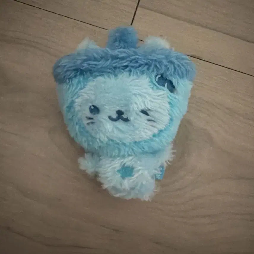 [BUNJANG] Color Wish Doll Bubble Cat Blue / 컬러 위시돌 버블냥 블루