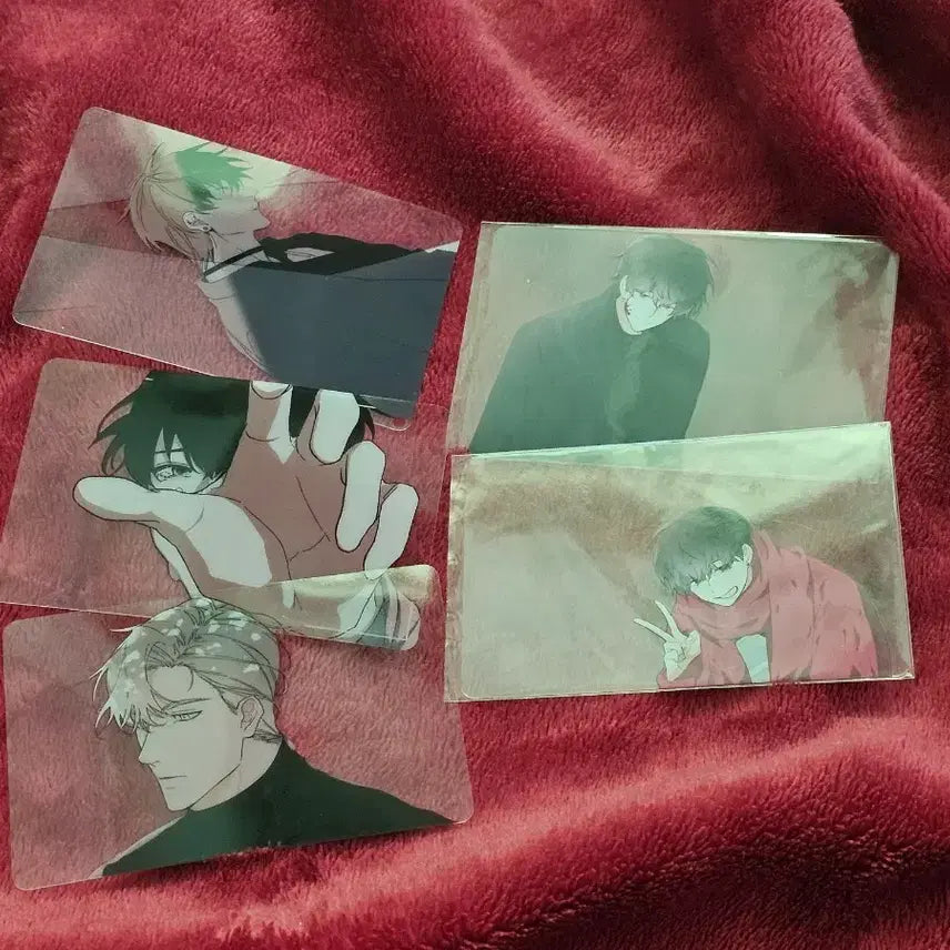 [BUNJANG] Solo Leveling Transparent Photocard Bundle Set / 내스급 투명포카