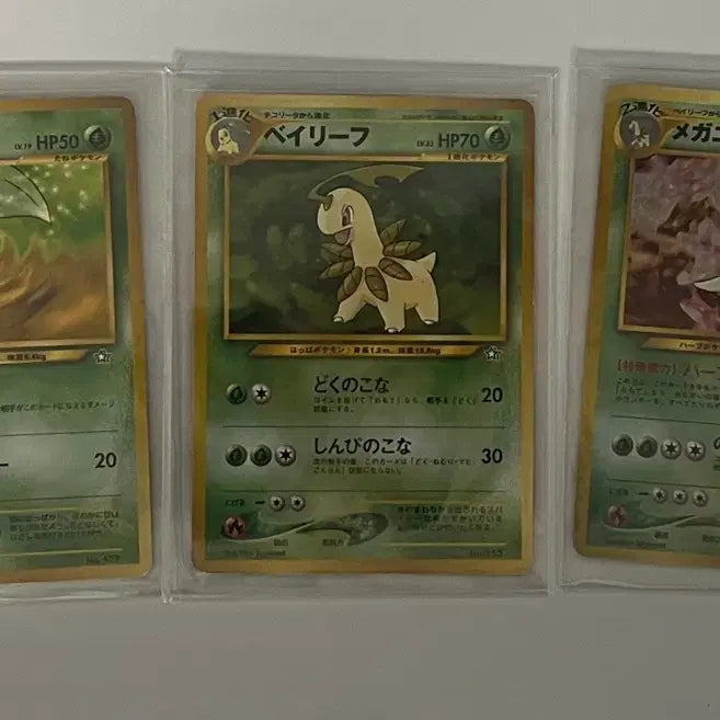 [BUNJANG] Pokemon Card Vintage Old Back Chikorita, Bayleef, Meganium (Holo) / 포켓몬카드 빈티지 올드백 치코리타, 베이리프, 메가니움(홀로)