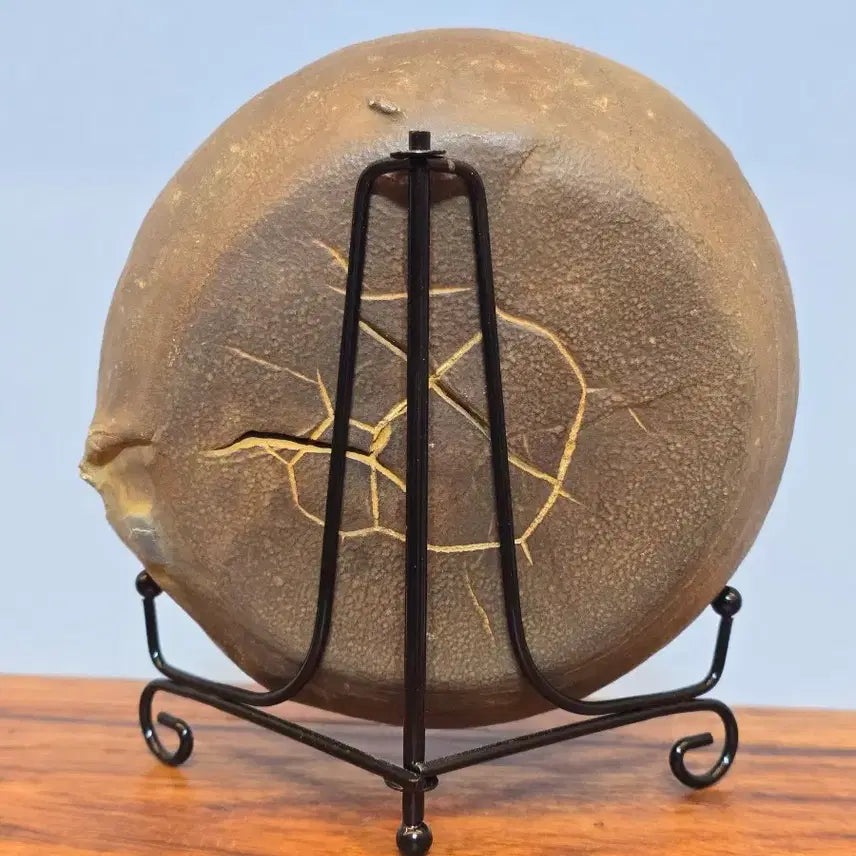 [BUNJANG] Chinese Gu-Jap Stone Scholar Stone - Sunflower / 26080520 한송이 해바라기처럼 활짝  핀 중국 구갑석 수석 팝니다
