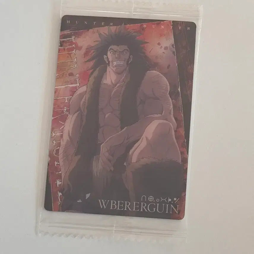 [BUNJANG] Hunter x Hunter Uvogin Card / 헌터헌터 우보긴 카드