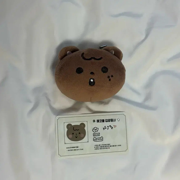 [BUNJANG] NCT Dream 127 Haechan Doll Hae-ko-bol / 엔시티 드림 127 해찬 인형 해코볼