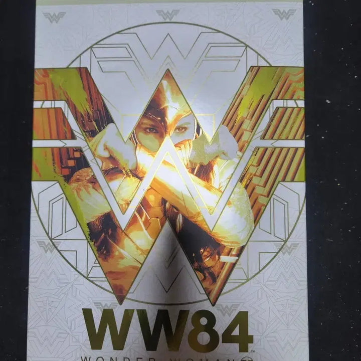 [BUNJANG] Hot Toys Wonder Woman Golden Armor Figure / 핫토이  원더우먼 골든아머