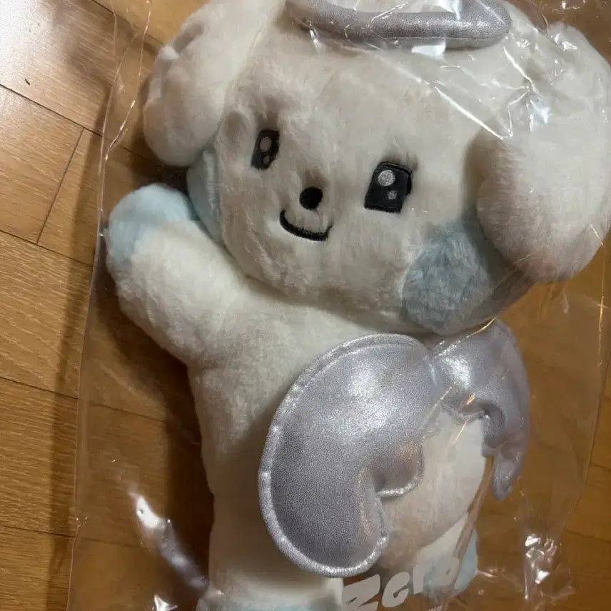 [BUNJANG] Seventeen Jeonghan &