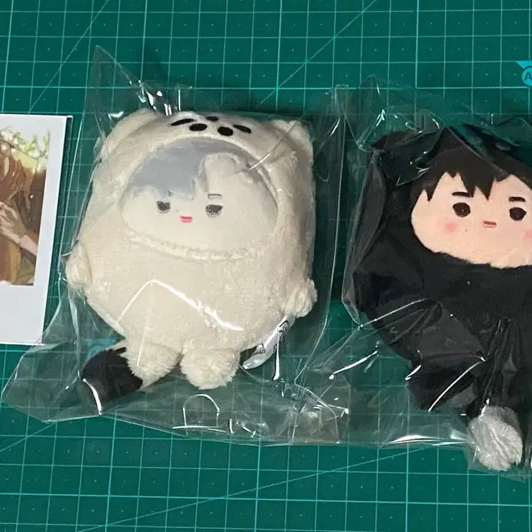 [BUNJANG] Noctua Foris Taejung Taei Poleroid Bundle Set Photocard / 녹티아 포리즈 패션 일레이 정태의 폴라이드특전 일괄 미개봉