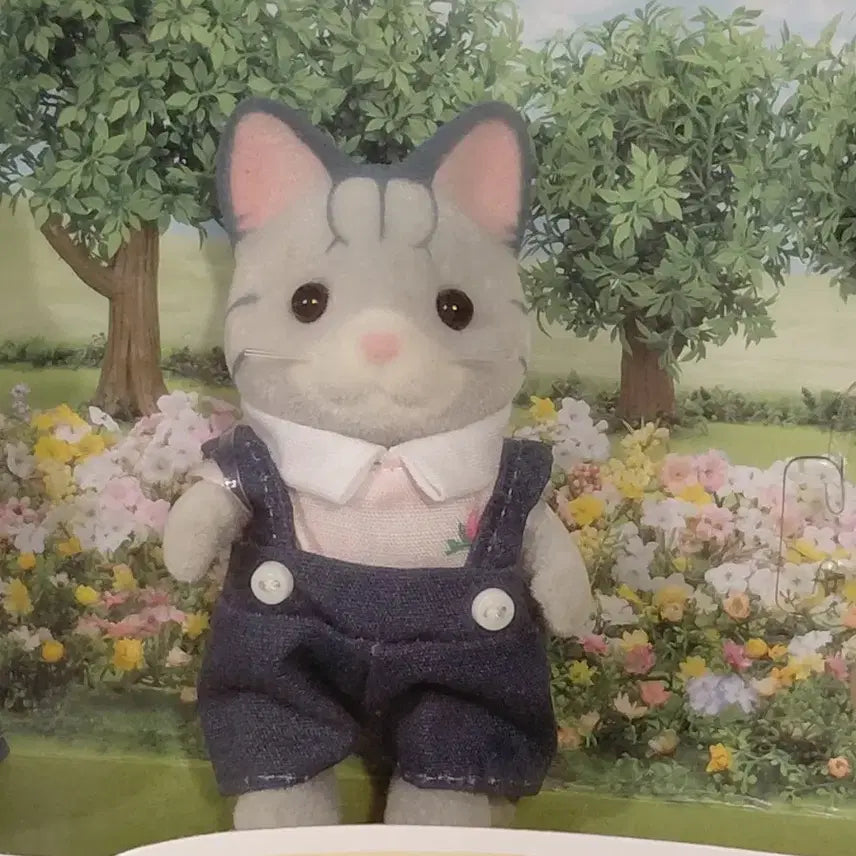 [BUNJANG] Sylvanian Families Fisher Cat Boy Split Set / 실바니안 피셔캣 소년 분철 판매