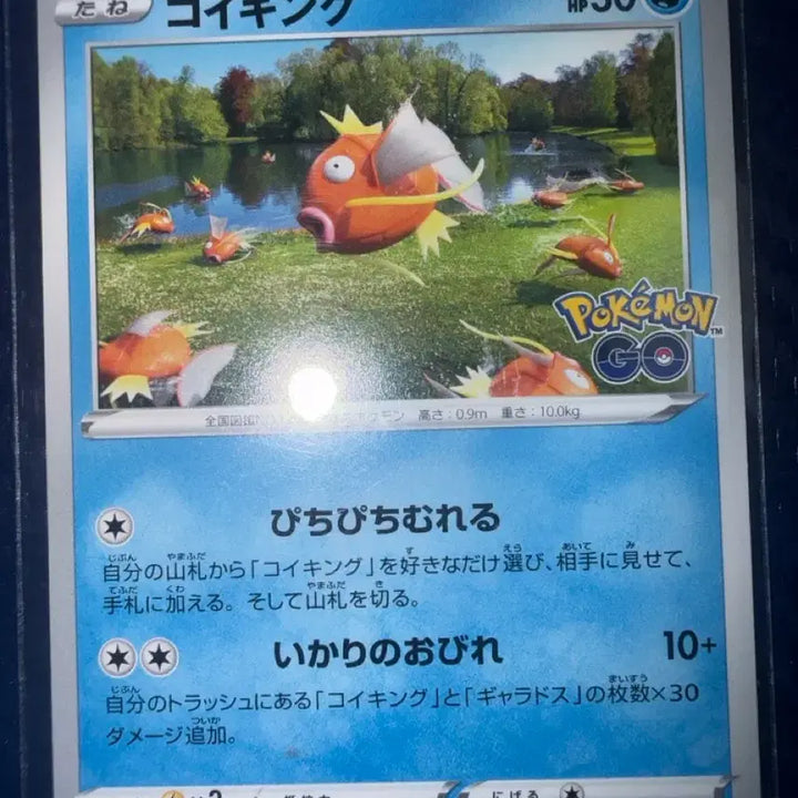 [BUNJANG] Pokemon GO Magikarp Pokemon Card (Japanese Edition) / 일판 포켓몬고 잉어킹 포켓몬카드