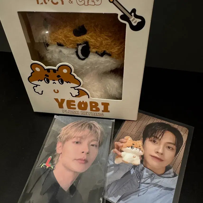 [BUNJANG] LUCY Shiru Yeobi Keyring + Island Concert Gift Photocard / 루시 시루 여비키링+섬콘 기프트포카