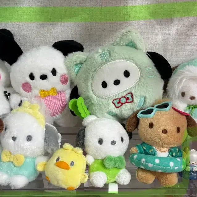 [BUNJANG] Pochacco Doll Keychain Bundle Set / 포차코 인형 키링 일괄