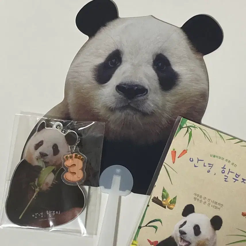 [BUNJANG] Fu Bao Sealed Mirror + Fan + Postcard Set / (미개봉) 푸바오 거울 + 부채 + 엽서 2종