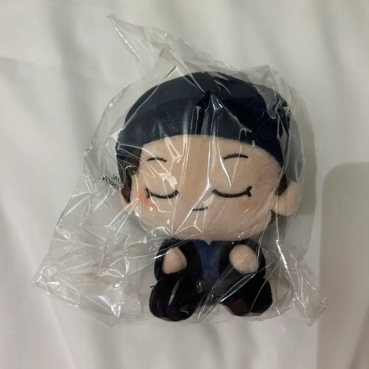 [BUNJANG] Detective Conan Shuichi Akai Plush Doll / 명탐정 코난 아카이 슈이치 이상윤 인형