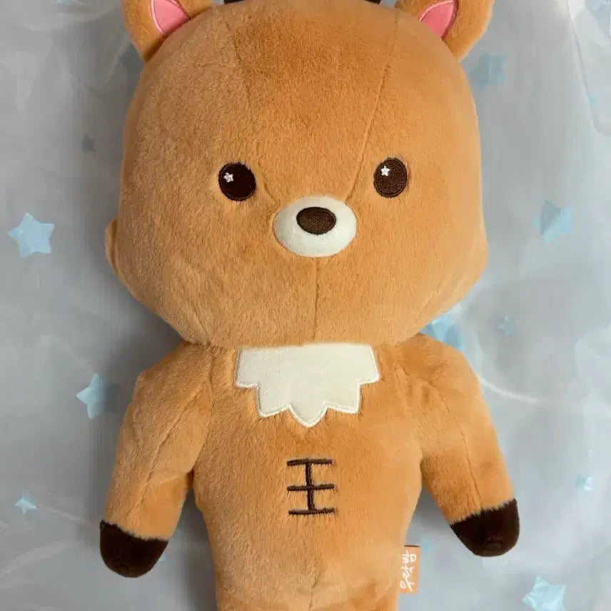 [BUNJANG] RIIZE Sungchan 40cm Big Doll MD Goods / 라이즈 성찬 우락밤 40cm 대왕 인형 엠디 굿즈