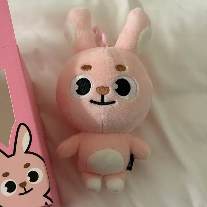 [BUNJANG] Day6 Denny-Mals 2020 &