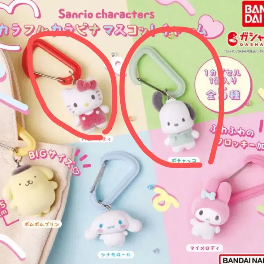 [BUNJANG] Sanrio Characters Colorful Carabiner Mascot Charm - Hello Kitty, Pochacco / 산리오 캐릭터 컬러풀 카라비나 마스코트 참 키티, 포차코
