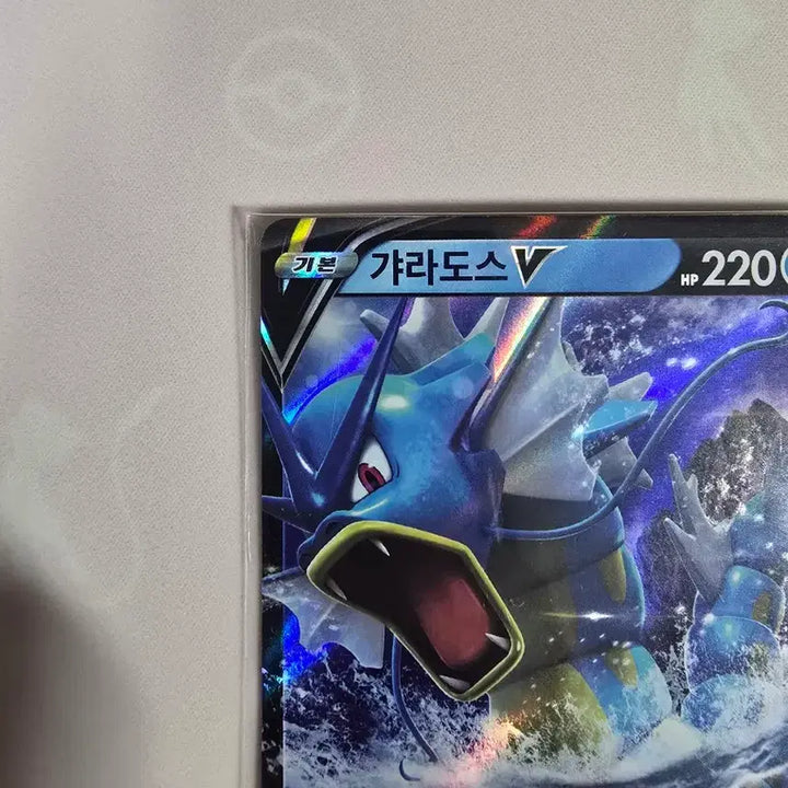 [BUNJANG] Pokemon Card Gyarados V RR 020/067 Korean Edition / 포켓몬카드 갸라도스 V RR 020/067 한글판