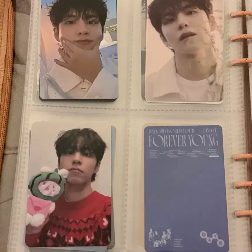[BUNJANG] Day6 Bundle Set Photocard / 급처) 데이식스 포카 일괄 판매