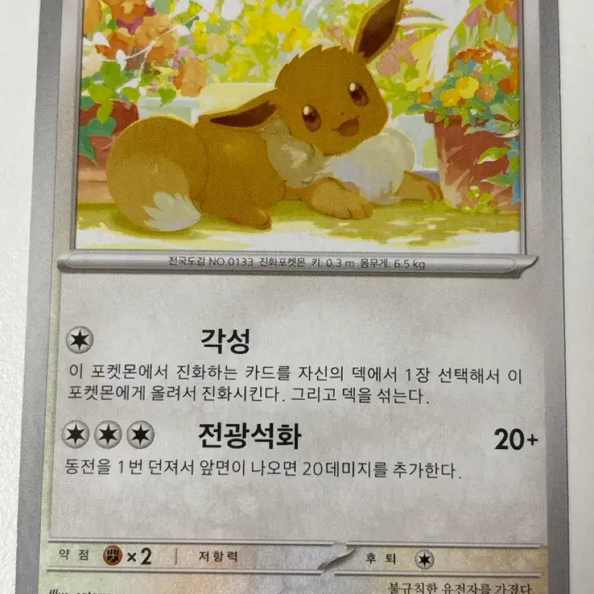[BUNJANG] Pokemon Eevee Card SV5a / 포켓몬카드 이브이 sv5a