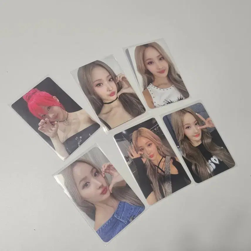 [BUNJANG] KIOF Kiss of Life My Little Pony Be My Valentine Bundle Set Photocard / 키오프 벨 포카 일괄 양도 마이다스터치 베드뉴스 팬미팅 KIOF 키스오브라이프