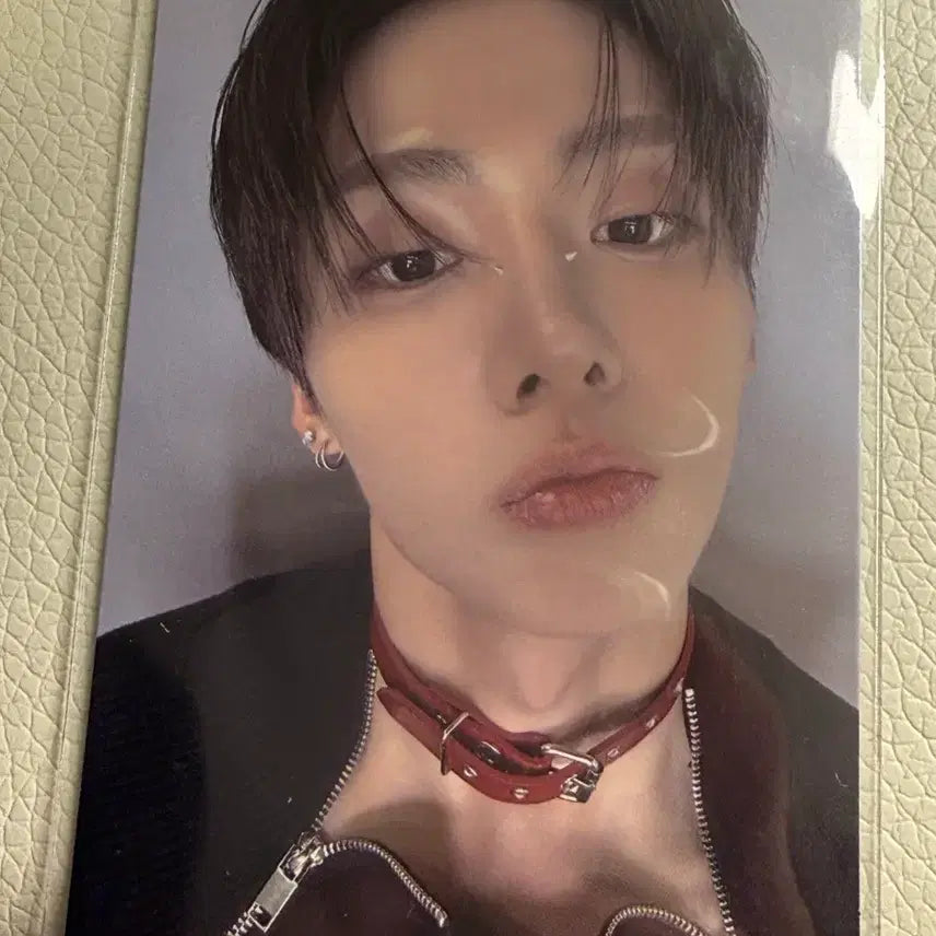 [BUNJANG] ALDI ONE Lee Sangwon Bofl Exhibition Photocard / 알디원 이상원 보플 전시회 포카