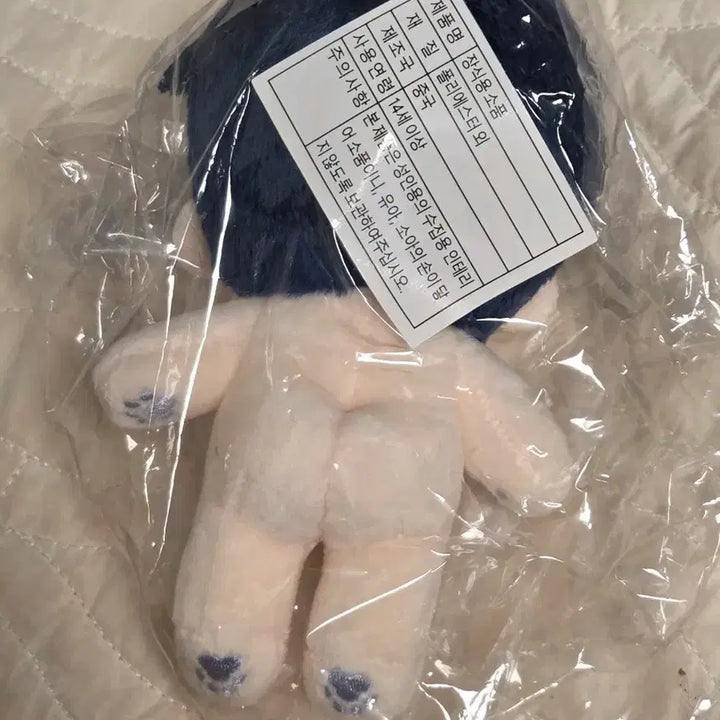 [BUNJANG] PogeunPLAVE Nam Yejun 10cm Plush Doll / 포근플브,플레이브,솜깅,솜인형,10cm,비공굿,인형,plave,예준,남예준,뼈깅