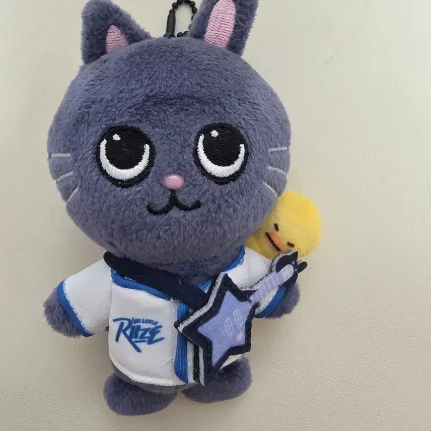 [BUNJANG] RIIZE Riize Park Wonbin 10cm Plush Keychain / 라이즈 리라즈 토냥덕 원빈 라이즈파크 10cm 인형 키링